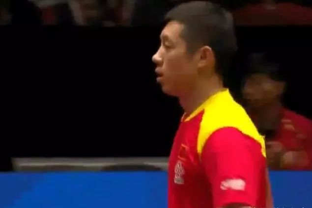 生态重建 生态重建