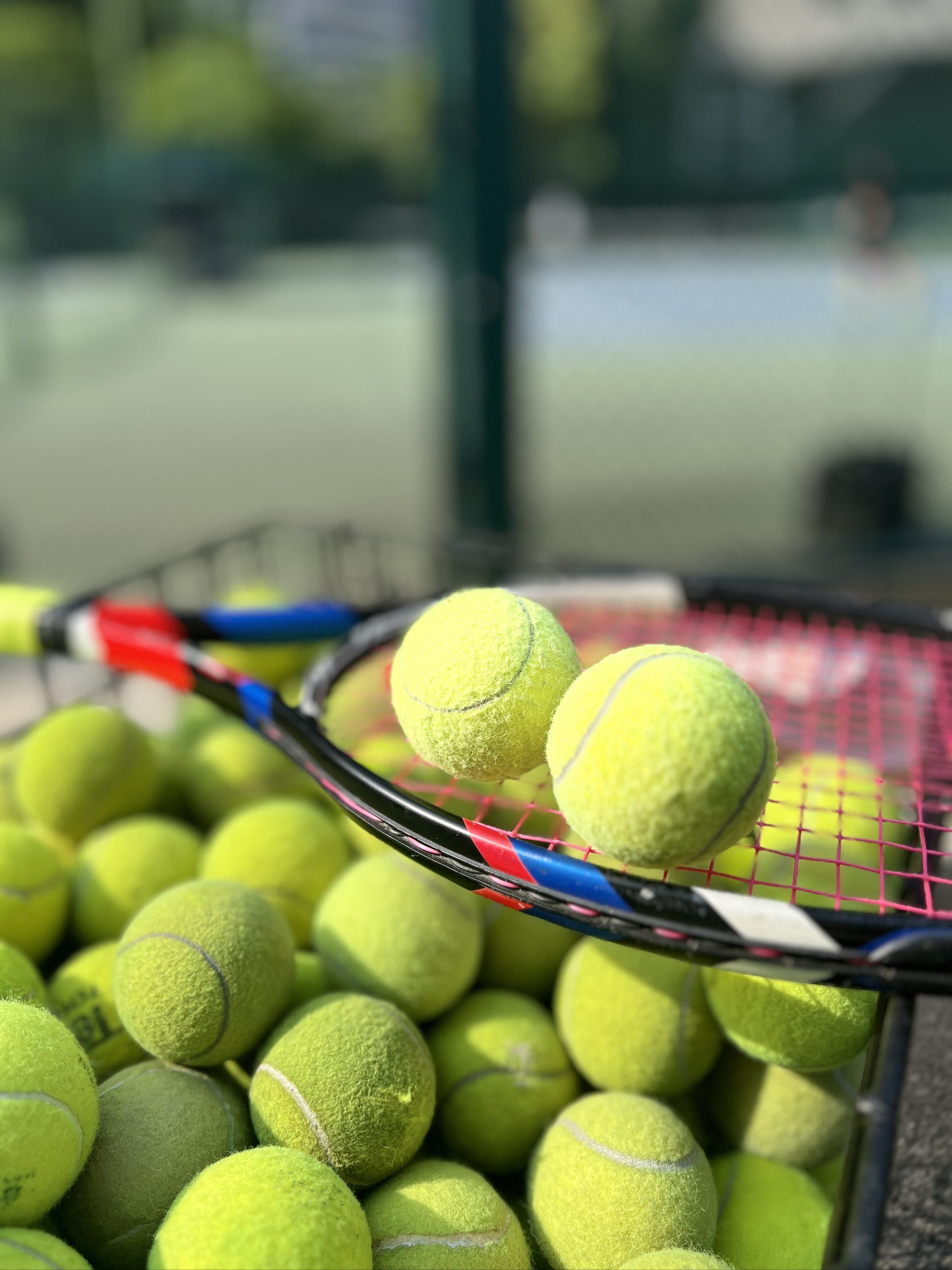 避免胸口以 避免胸口以